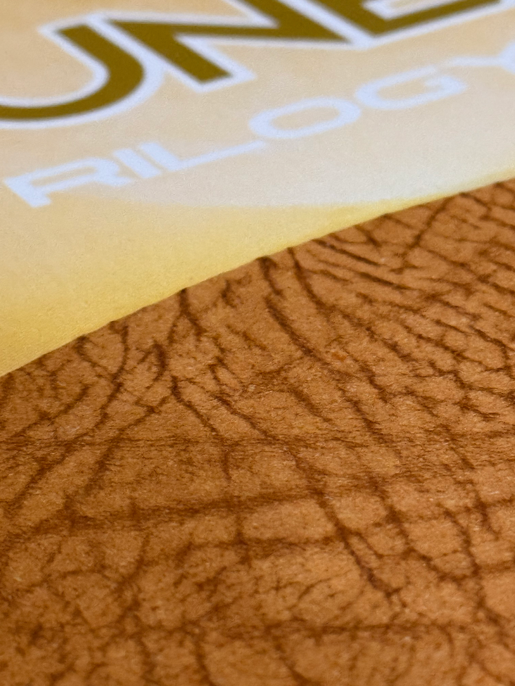 DUNE Omnibus | Leatherbound Deluxe Edition | Frank Herbert