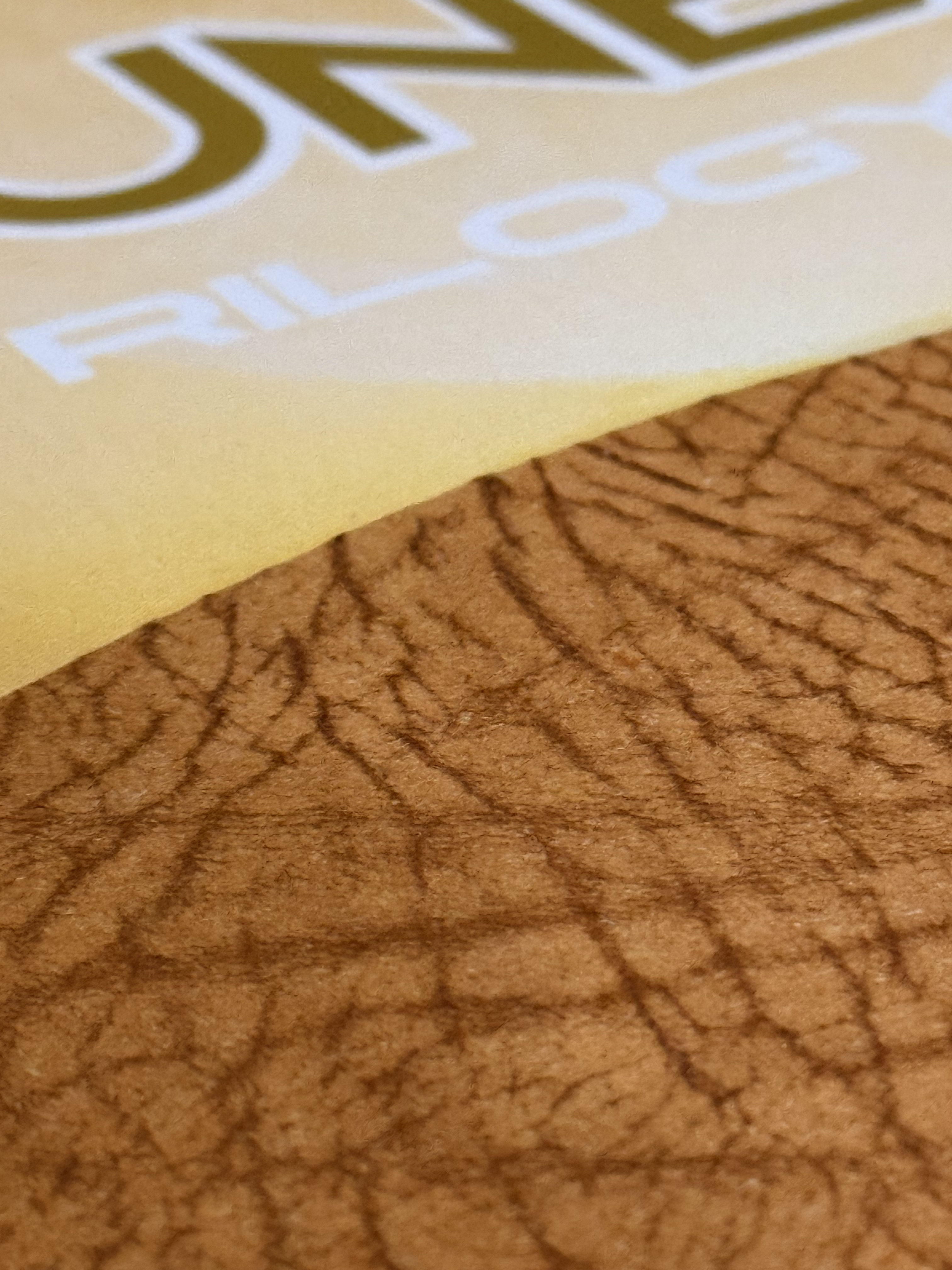 DUNE Omnibus | Leatherbound Deluxe Edition | Frank Herbert